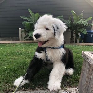 Meet your Posher, Whitney